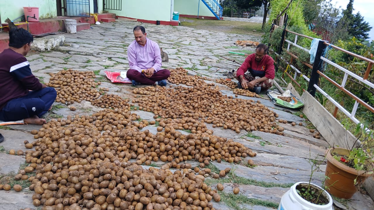 पहाड़ की मिट्टी से उगती आत्मनिर्भरता की मिसाल…मुख्यमंत्री धामी के ‘आत्मनिर्भर उत्तराखंड’ विज़न को साकार कर रहे हैं किसान कुलदीप जोशी