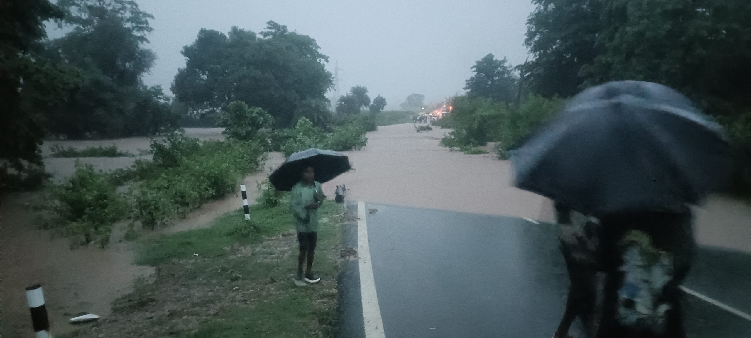 चाईबासा–जगन्नाथपुर मुख्य मार्ग पर सेरेंगसिया पुलिया जलमग्न, दो घंटे से अधिक आवागमन ठप; तेज बहाव में मोटरसाइकिल बही