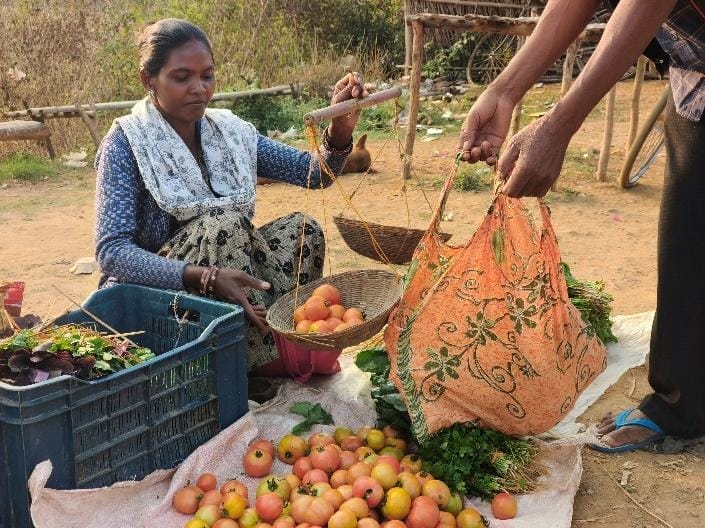 15 डिसमिल जमीन से ₹12,030 का मुनाफा, प्राकृतिक खेती से बदली मादईु सोय की जिंदगी 19045