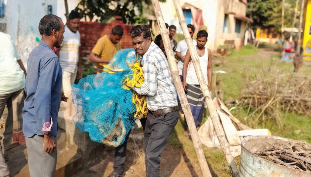 गुवा में जंगल से भटककर जगन्नाथ मंदिर परिसर पहुँचा कोटरा, वन विभाग ने सुरक्षित जंगल में छोड़ा 23897