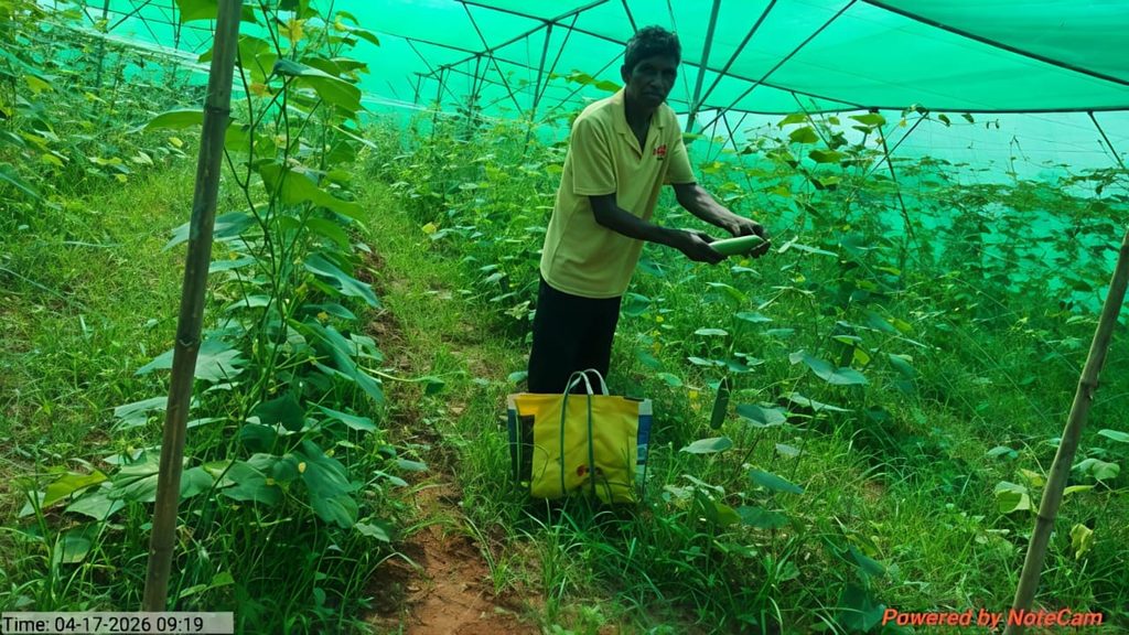 प्राकृतिक खेती से बदली किसान मंझी सामद की जिंदगी, ₹3,800 की लागत से कमाया ₹19,200 का शुद्ध मुनाफा 29691