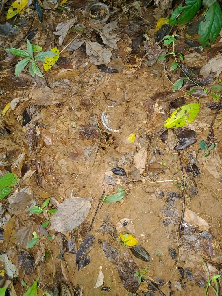 कोयना नदी किनारे जमीन में दबे मिले दो शक्तिशाली IED लैंडमाइन, सुरक्षा बलों ने किया निष्क्रिय 34924