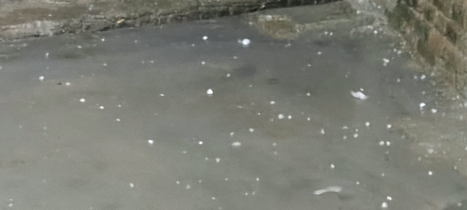 मुरादाबाद: भगतपुर क्षेत्र में अचानक बदला मौसम, तेज आंधी-बारिश के साथ गिरे बड़े ओले; किसानों को भारी नुकसान की आशंका