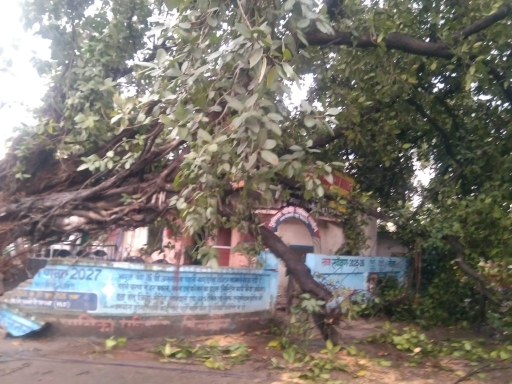 बिजनौर में आंधी-बारिश का कहर: सिविल लाइन पुलिस चौकी पर गिरा 100 साल पुराना विशाल बरगद, भवन क्षतिग्रस्त whatsapp image 2026 10 11 at 8.39.55 pm